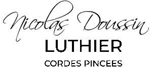 Nicolas DOUSSIN Luthier