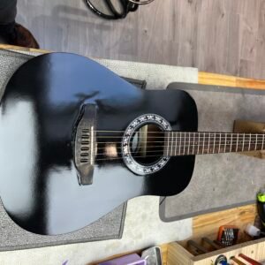 Guitare Voyage Applause by Ovation